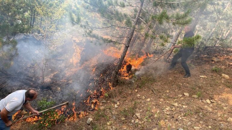 248042f4 B9d3 4dbe 816f 5812af6f5240