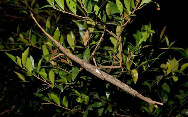 5f741a24 A7e9 31c3 A6d4 B29836013e6f 850