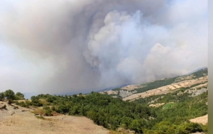 64ff2295 28b8 41f3 9469 53017de4e674