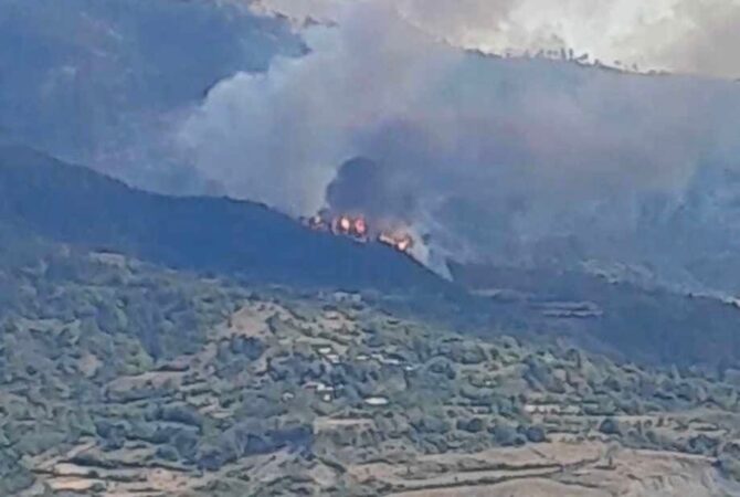 72f4c7cf 0c8e 43c2 8312 11a09f3f518e