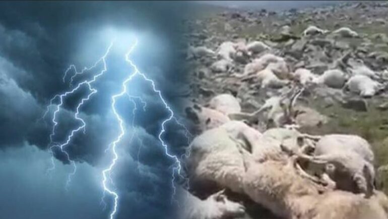 Pogradec Rrufeja Vret Bariun Dhe Delet