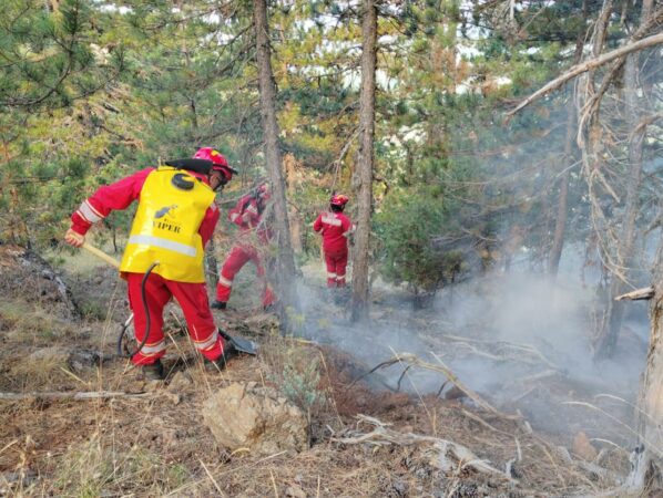 Whatsapp Image 2025 08 17 At 09.44.09 E829c66f