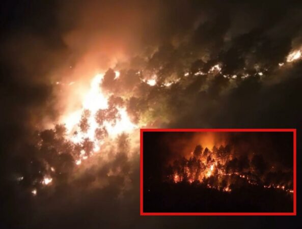 Whatsapp Image 2025 08 21 At 22.48.20