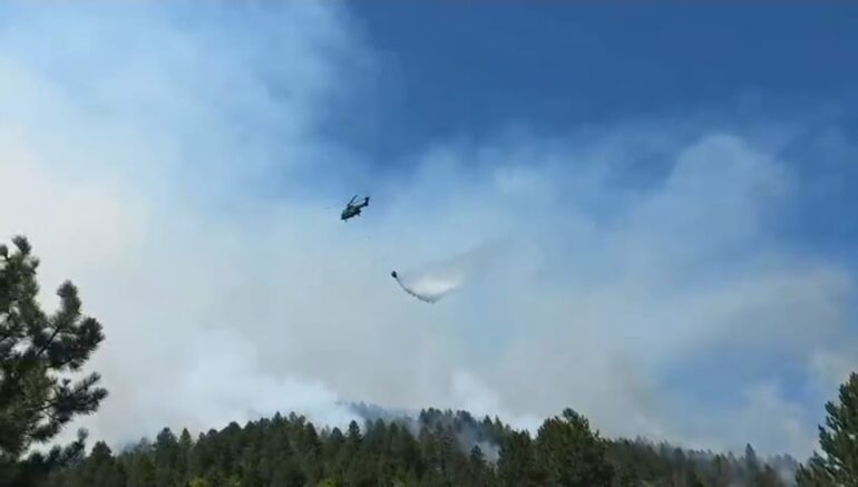 Whatsapp Image 2025 08 28 At 13.59.31 (1)