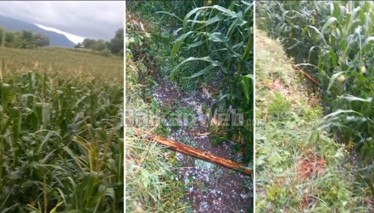 B997cd23 427b 451a 9b5d 97e3f93f76cb