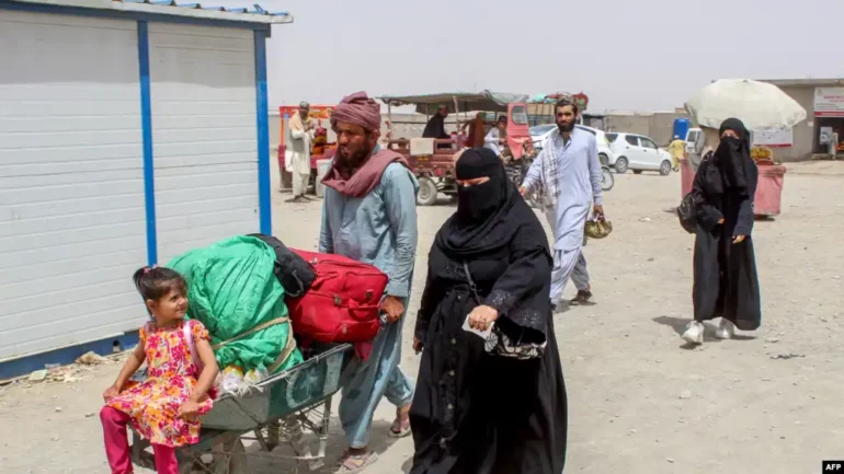 C3c5d1f0 D949 4686 97c8 2d2d8f8422dd W1023 R1 S