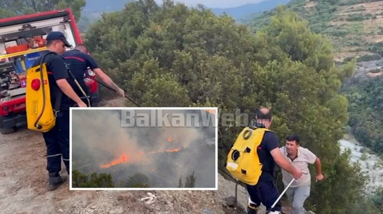 D4e19576 5759 4d8e 9441 1d2d94ba4192