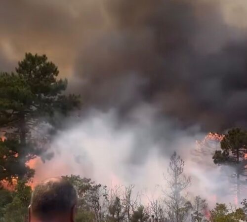 Ef74c89b C888 4444 B7af 0df3e66199b7