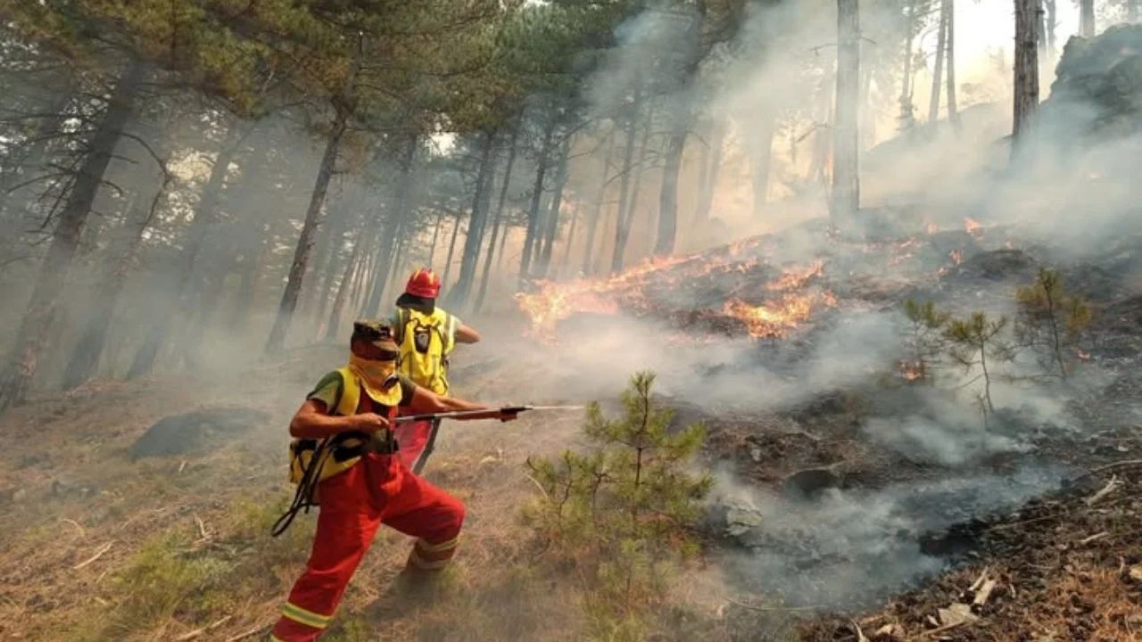 Gramsh Zjarr Zjarrfikes