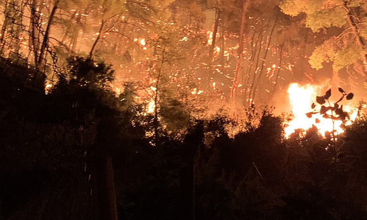 Greece Wildfires 750x450 791006