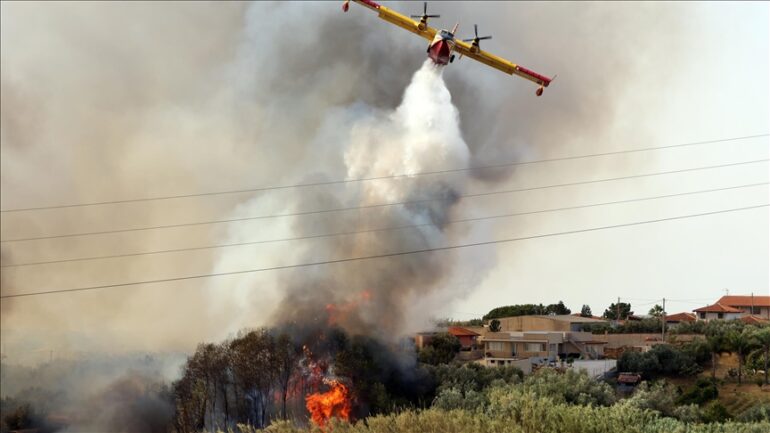 Thumbs B C 8ab0ab8f9b47b132d1f9af12210a849d