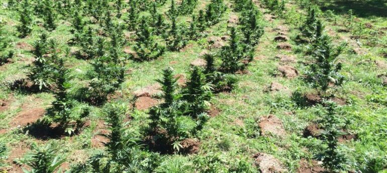 6e9ebda8 768a 4530 Adbe 82b6b94cc123