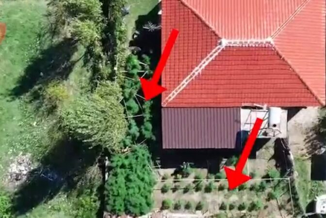 Ab2abe19 E2c2 421a Ba10 Fc3b34ac6382