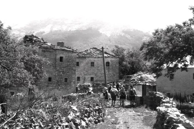 125402526 686621768725112 4837886331331483614 N