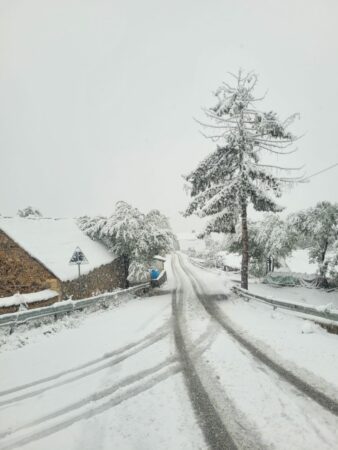 678dd6bd C9d0 40cf Bca9 785fd7200576