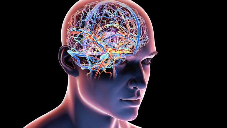 900 0 1761402884xtruri 587