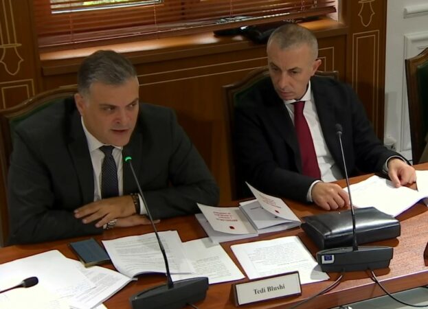 Tedi Blushi Komisioni I Ligjeve