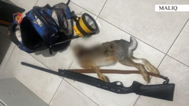 Whatsapp Image 2025 10 15 At 16.42.01