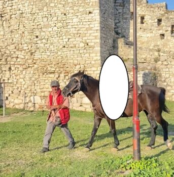 Whatsapp Image 2025 10 28 At 17.12.36 (1)