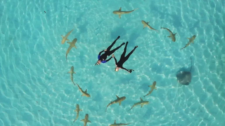 F1aff83b Roman Burki Iewlaxck51a Unsplash