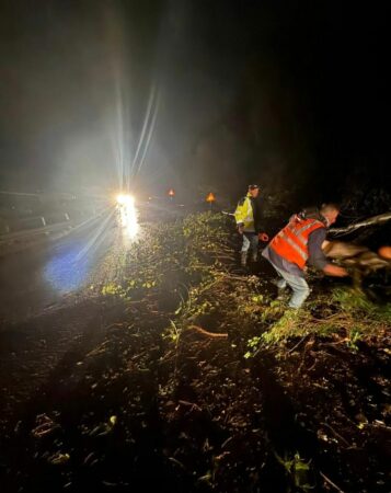 39f90418 0ee1 46d3 9e3e 17bb5408992b