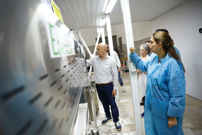 478f6315 Ac85 4221 8e1a B4869fe68b4a