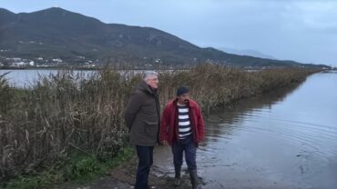 590701150 1158672363110579 6815807290839505098 N