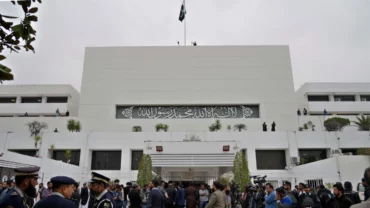 69182756 Ap24060300538335