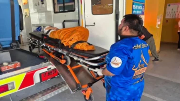 8370141f Ap25329313715461