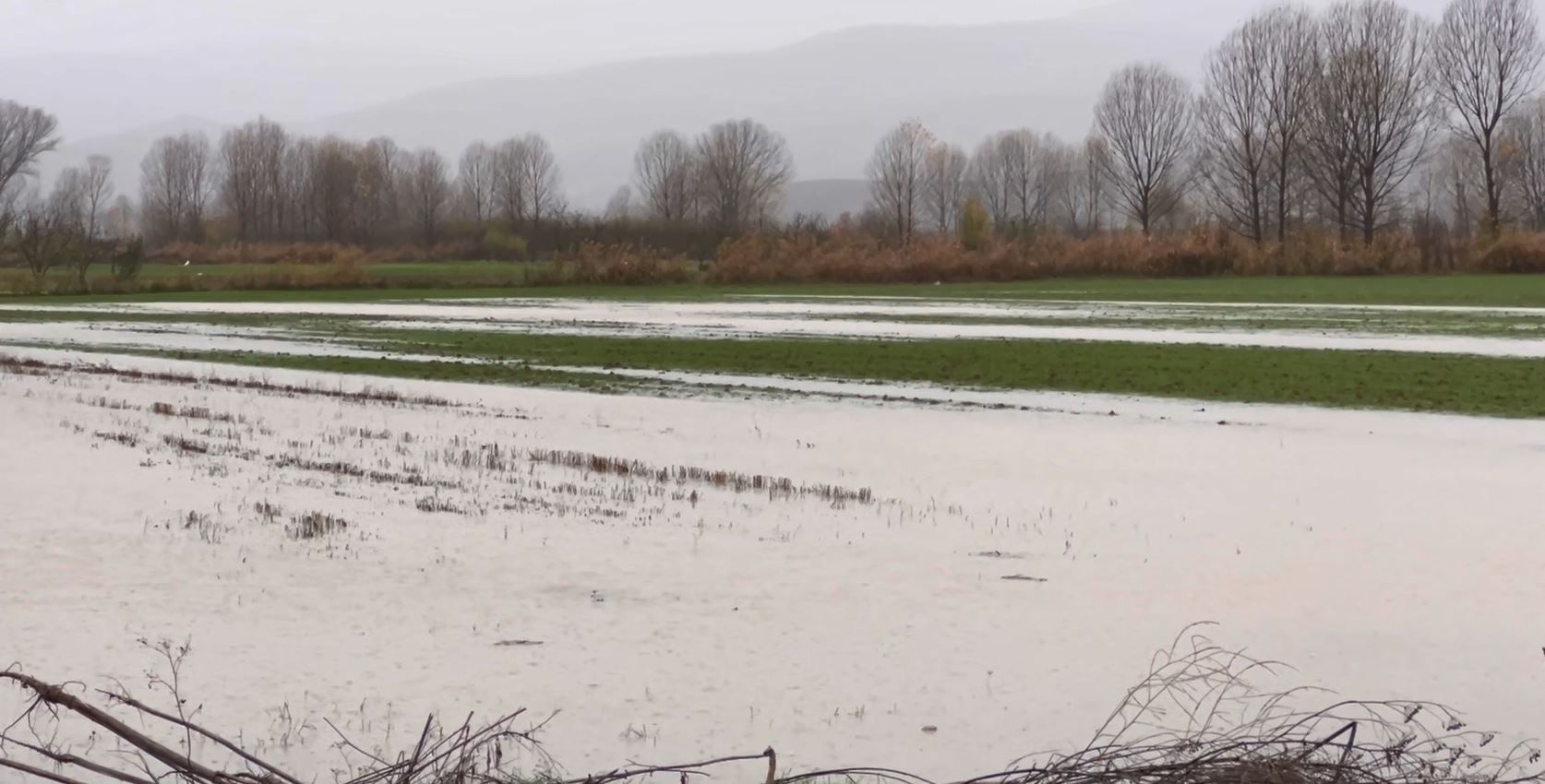 VIDEO  Përmbytje në Maliq  dëme të konsiderueshme në tokat bujqësore  ankohen banorët