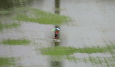 Përmbytjet Në Malajzi