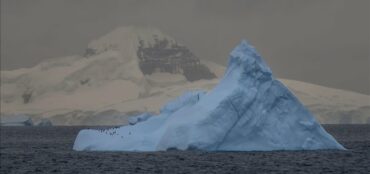 Studimi Zbulon Se Akullnaja