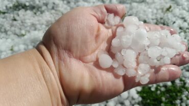 Whatsapp Image 2025 11 08 At 13.00.00 (1)