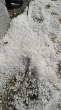 Whatsapp Image 2025 11 08 At 13.00.14 (2)