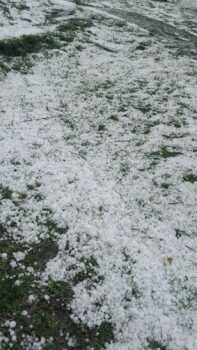 Whatsapp Image 2025 11 08 At 13.00.15