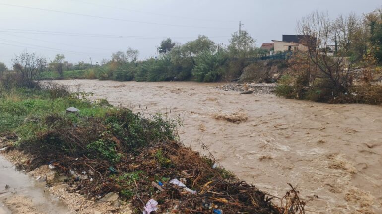 Whatsapp Image 2025 11 19 At 15.26.57