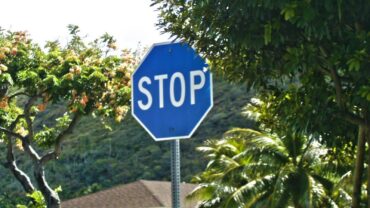 Blue Stop Sign (1)