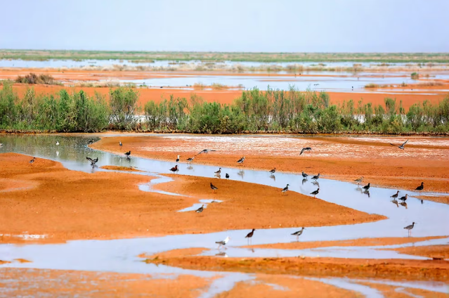 Akademiku paralajmëron se rrafshnalta qendrore e Iranit mund të shpopullohet për shkak të krizës së ujit