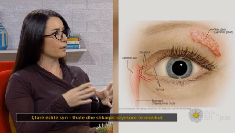 900 0 1765907245xalda Zani 1024x579 342