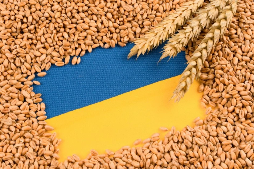 Moldavia Do Të Heqë