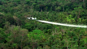 Nën Presionin E Shba Së