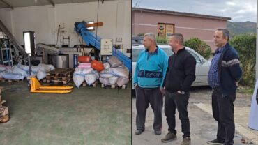 Whatsapp Image 2025 12 04 At 15.02.23