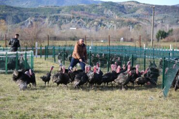 Whatsapp Image 2025 12 21 At 17.28.37