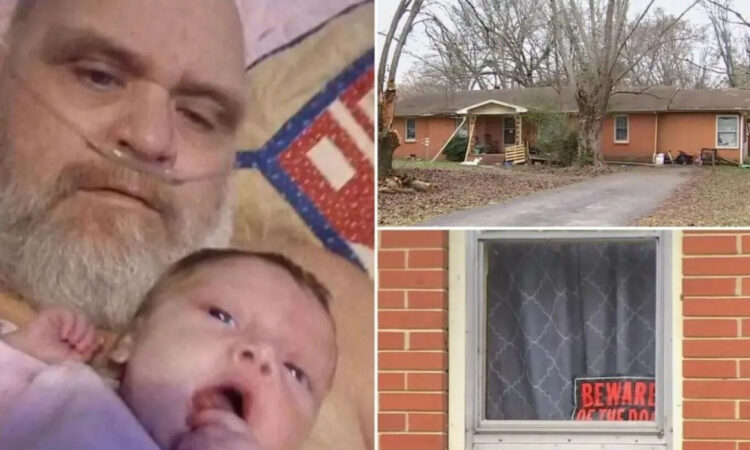 B7922659 Pitbultenessi