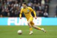 Newcastle United V Brighton And Hove Albion Emirates Fa Cup Fifth Round Scaled