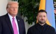 Trump Zelensky