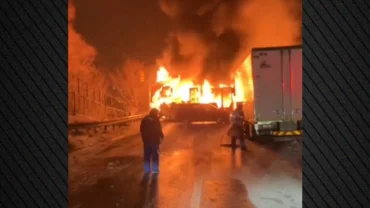 Xrwma Iaponia Karampola (1)