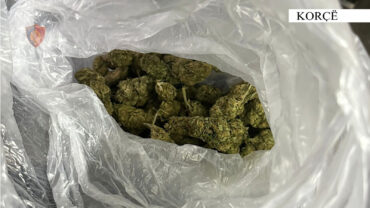 1840788a 09df 4dfe 95a3 5f9e05f896d4