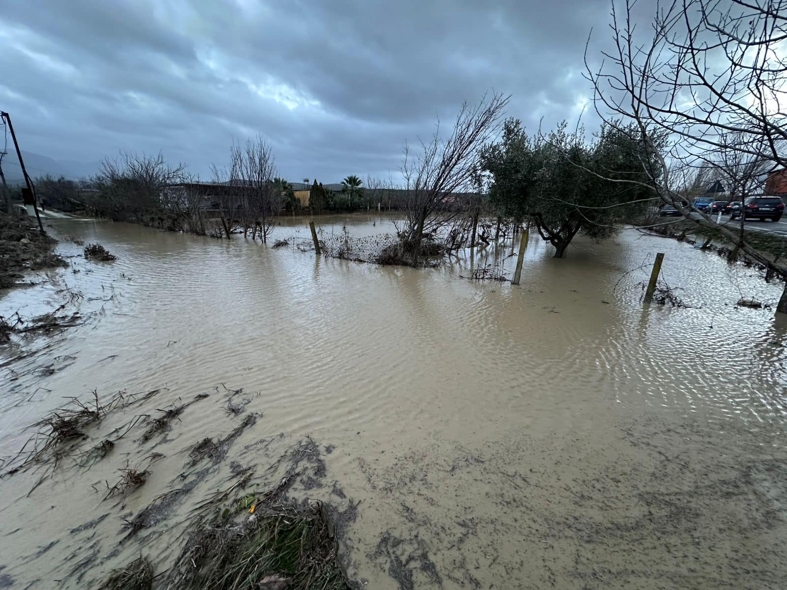 611245347 1190486963262452 354151568329652960 N