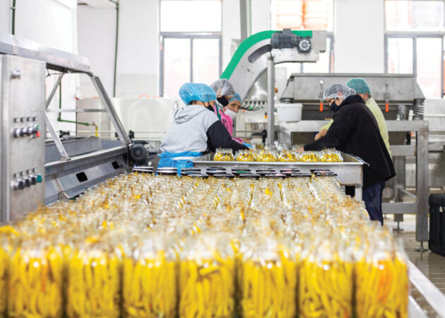 Agroindustri Prodhim Spec Djeges Eksport Zdrava 1213